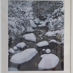 Cascades Snowy Stream by Wanda Lach