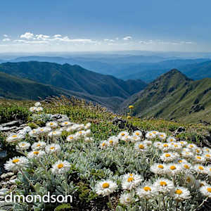 Alpine Sunrays view to The Sentinel by Mike Edmondson