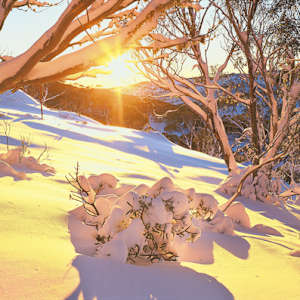 Alpine Sunrise by Mike Edmondson