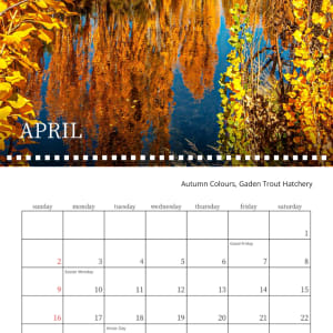SMD 2023 Calendar by Wanda Lach  Image: Gaden Trout Hatchery