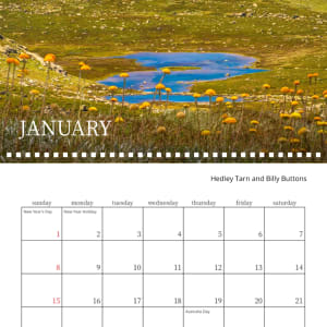 SMD 2023 Calendar by Wanda Lach  Image: Hedley Tarn