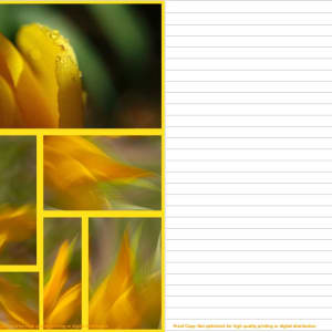 WAL Photo Notebook by Wanda Lach  Image: sample pages: line page to write on