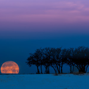 Snow Moon Down by Nancy S Young