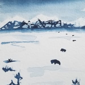Where the Buffalo Roam