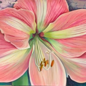 Pink Amaryllis by Charlotte Slade Decker