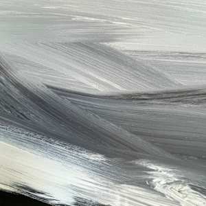 Black and White 3 by Dietschi Art 