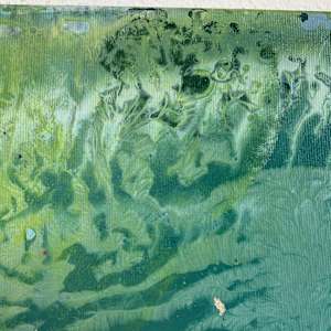 Atem der Natur by Dietschi Art 