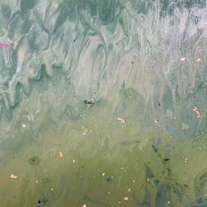 Atem der Natur by Dietschi Art 