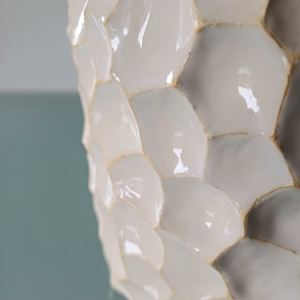 Crater Vase IV by Jo Richards Hooker Artist 