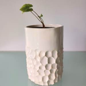 Crater Vase IV by Jo Richards Hooker Artist 