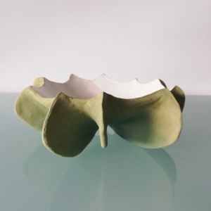 Finned Reef  Bowl II by Jo Richards Hooker Artist 