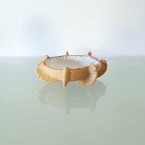 Reef Finned Bowl VII by Jo Richards Hooker Artist 