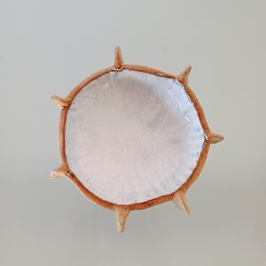 Reef Finned Bowl VII by Jo Richards Hooker Artist 