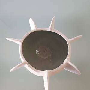 Reef Finned Bowl VI by Jo Richards Hooker Artist 