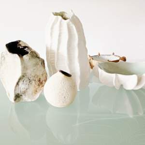 Coral Reef Vase I by Jo Richards Hooker Artist 