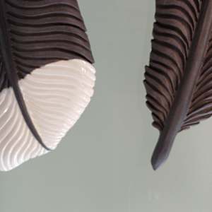 Huia Feather III by Jo Richards Hooker Artist