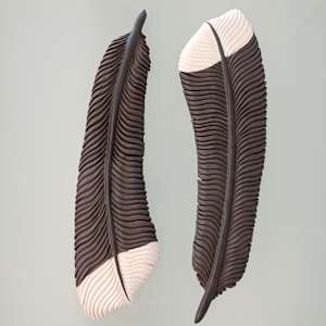 Huia Feather III by Jo Richards Hooker Artist