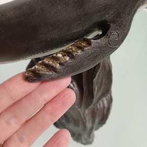 Humpback Whale I by Jo Richards Hooker Artist 