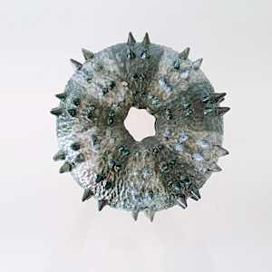 King Kina II by Jo Richards Hooker Artist 