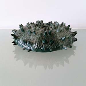 King Kina II by Jo Richards Hooker Artist 