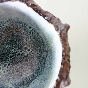 Reef Finned Bowl IV by Jo Richards Hooker Artist 