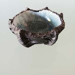 Reef Finned Bowl IV by Jo Richards Hooker Artist 