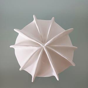 Reef Finned Bowl VIII (large) by Jo Richards Hooker Artist 