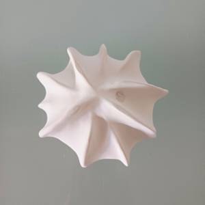 Reef Finned Bowl X (small) by Jo Richards Hooker Artist 