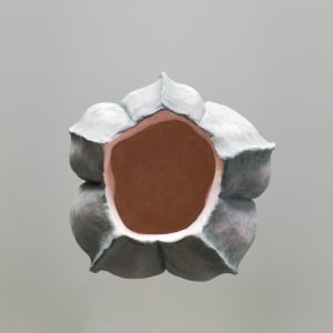 Seed Pod Bowl by Jo Richards Hooker Artist 