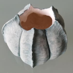 Seed Pod Bowl by Jo Richards Hooker Artist 