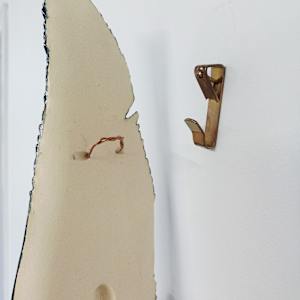 Tui Feather II by Jo Richards Hooker Artist 