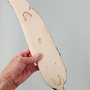 Tui Feather II by Jo Richards Hooker Artist 