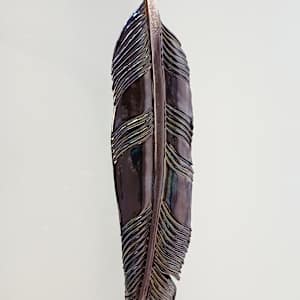 Tui Feather II by Jo Richards Hooker Artist 