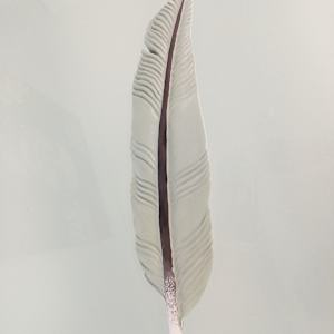 Tui Feather II by Jo Richards Hooker Artist 