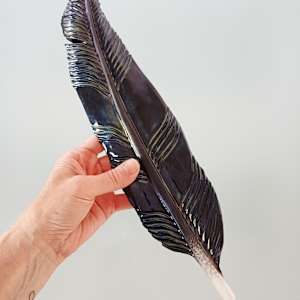 Tui Feather II by Jo Richards Hooker Artist 