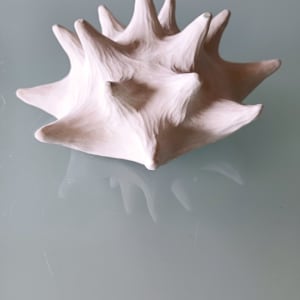 Urchin Bowl VIII by Jo Richards Hooker Artist 