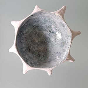 Urchin Bowl VIII by Jo Richards Hooker Artist 