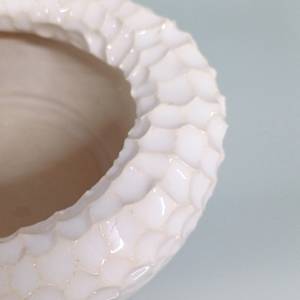 Crater Vase V by Jo Richards Hooker Artist 