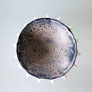 Urchin Bowl IX (Large) by Jo Richards Hooker Artist 