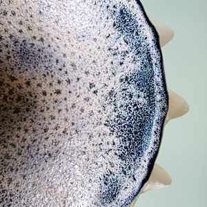 Urchin Bowl IX (Large) by Jo Richards Hooker Artist 