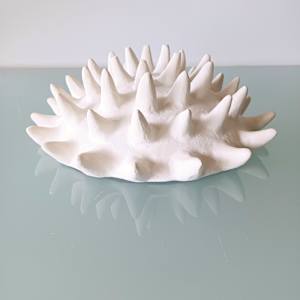 Urchin Bowl IX (Large) by Jo Richards Hooker Artist 