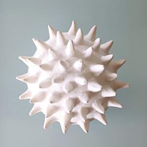 Urchin Bowl IX (Large) by Jo Richards Hooker Artist 