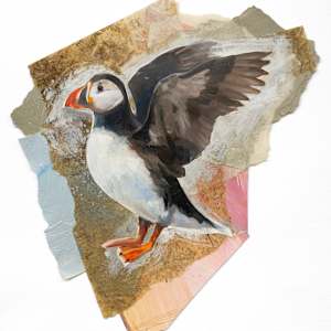 Puffin by Phil Irish, Image 2.