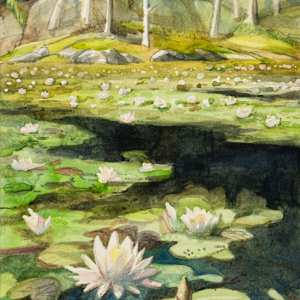 Freeland Lilies by Phil Irish, Image 1.