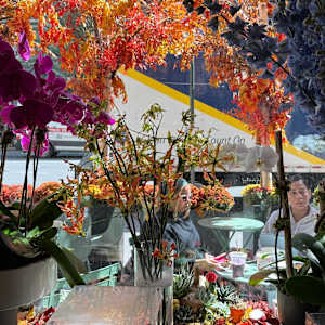 Manhattan Florist by Andrea