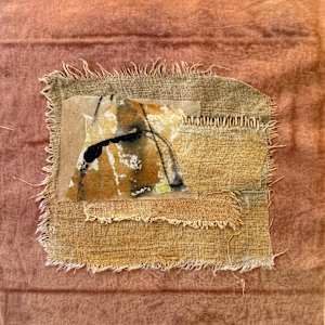 Apricot Drift by Andrea