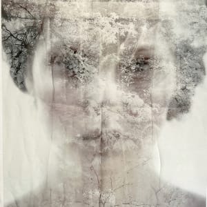 Birka by Helena Palazzi 