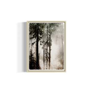 We meet in Dreams by Helena Palazzi 