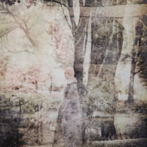 Shieldmaiden no. 3 by Helena Palazzi