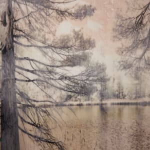 The Summoning by Helena Palazzi 
